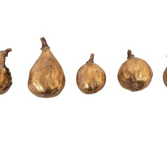 Creative Co-Op Resin Figs with Gold Finish (Set of 5 Pieces)