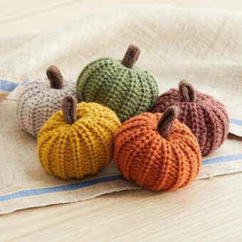 Mini knit pumpkins set of 5, hygge decor, cozy gifts for women, autumn bowl fillers fall farmhouse tier tray decor, decorative pumpkins for friend (Mini Autumn Set)