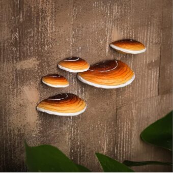 Geetery Set of 5 Mushroom Shelf Wall Decor - Adhesive Mini Resin Mushroom Floating Shelves Cute Mushroom Hanging Shelf Home Kitchen Bedroom Cottage Core Decor & Gecko Reptile...